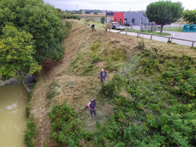 Nettoyage et aménagement berges Hers